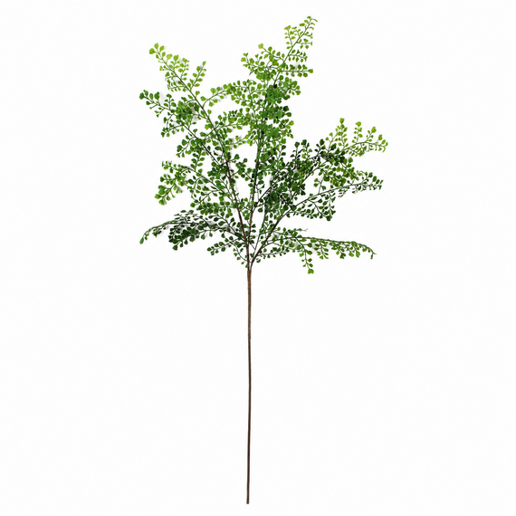 FS189 Fern Spray 41" PK 24