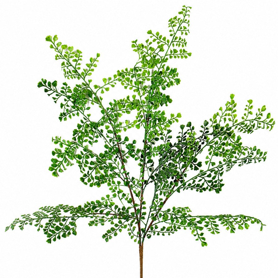FS189 Fern Spray 41" PK 24