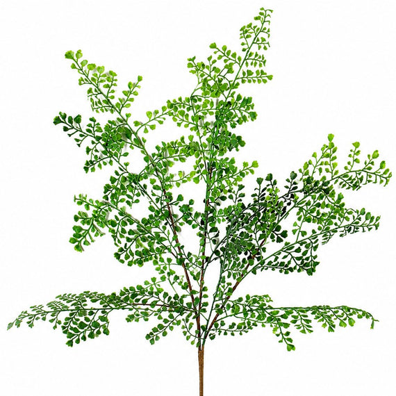 FS189 Fern Spray 41" PK 24
