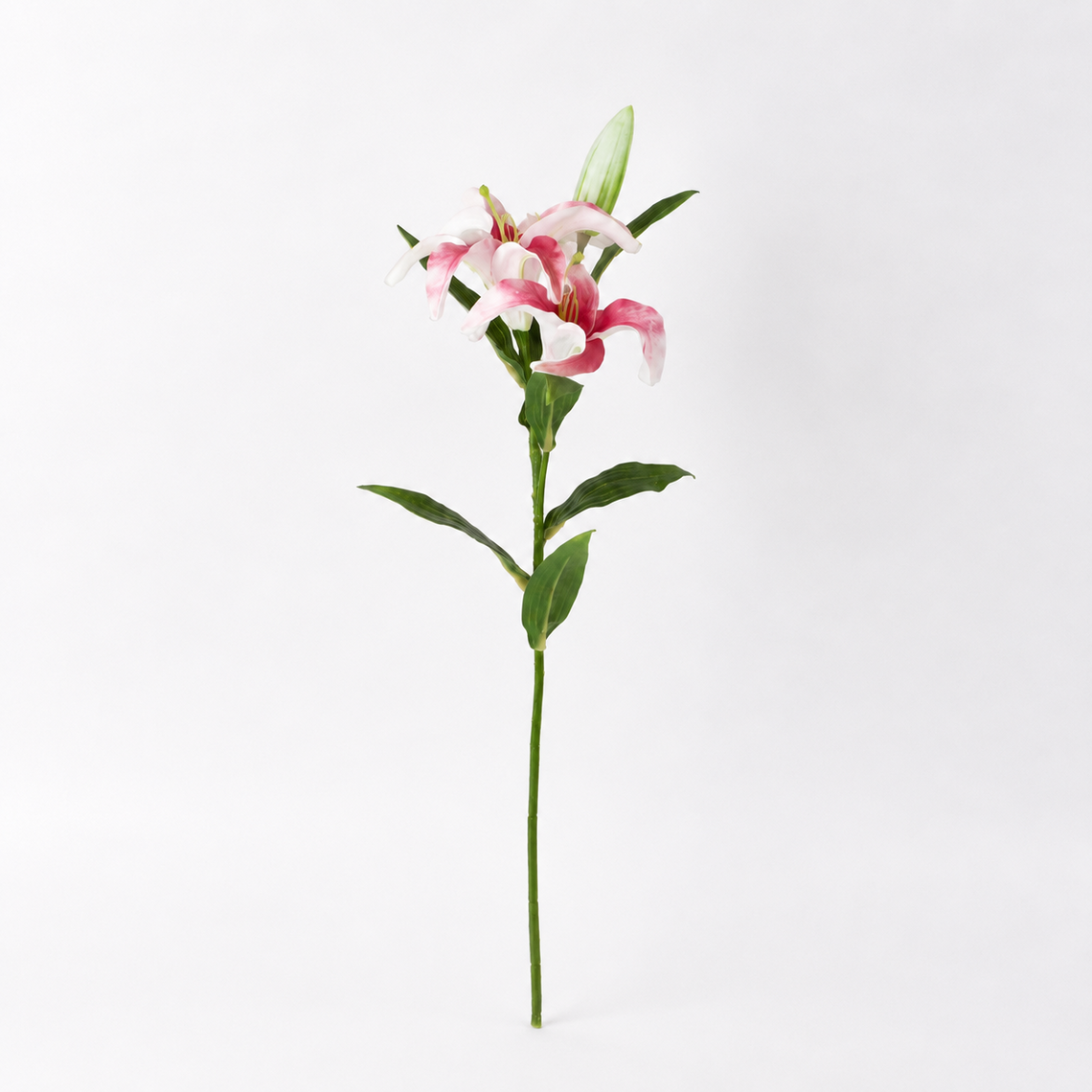 FS192  Lily Branch 24" PK 12