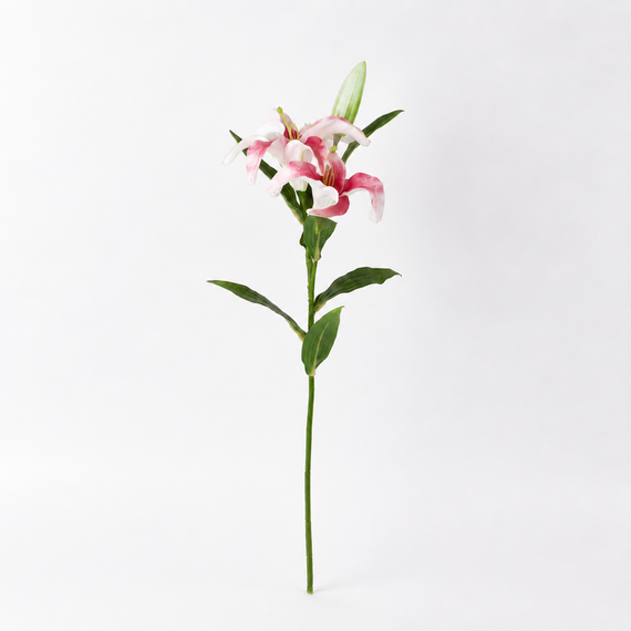 FS192  Lily Branch 24" PK 12
