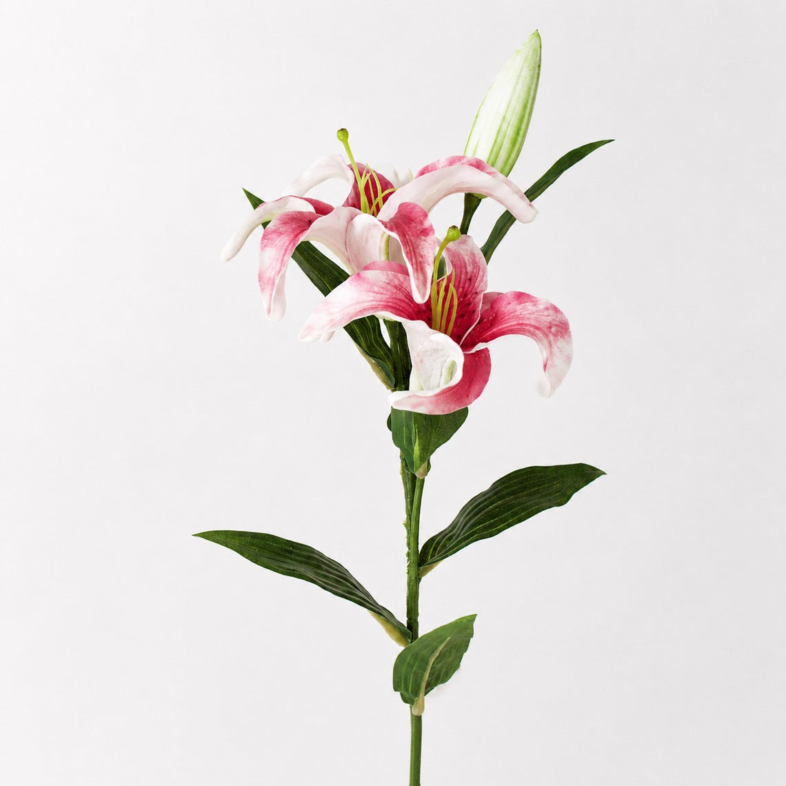 FS192  Lily Branch 24" PK 12