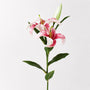 FS192  Lily Branch 24" PK 12