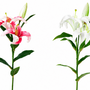 FS192  Lily Branch 24" PK 12