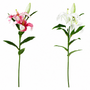 FS192  Lily Branch 24" PK 12