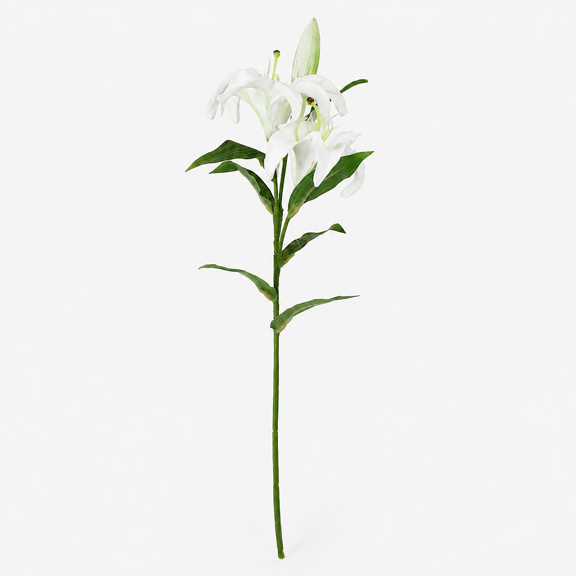 FS192  Lily Branch 24" PK 12
