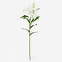 FS192  Lily Branch 24" PK 12