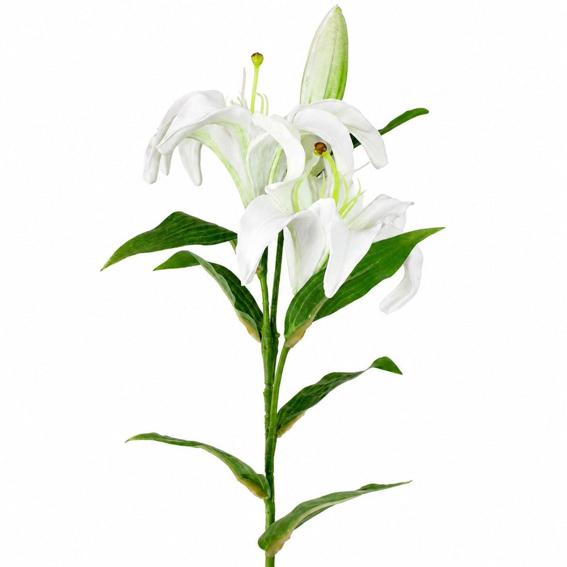 FS192  Lily Branch 24" PK 12