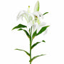 FS192  Lily Branch 24" PK 12
