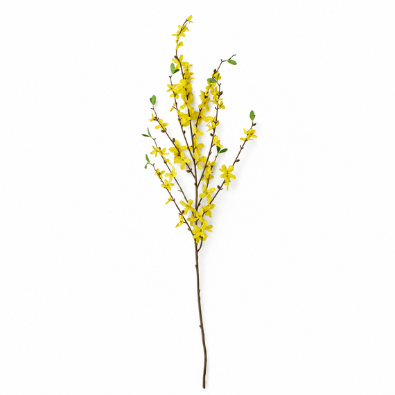 FS193 Winter Jasmine 40" PK 12