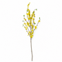FS193 Winter Jasmine 40" PK 12