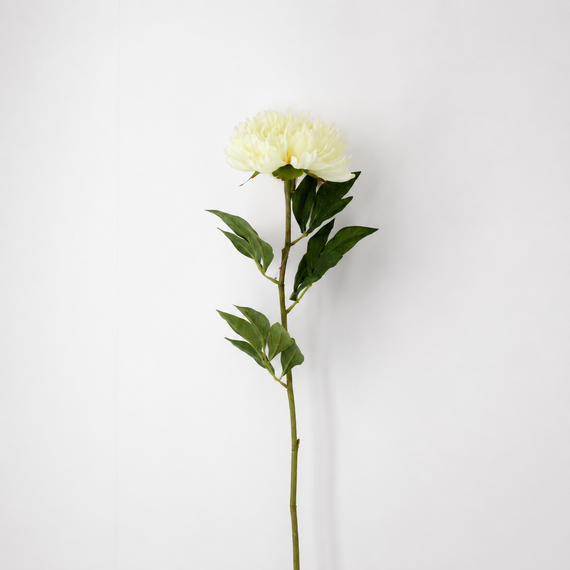FS195 YE PEONY 28" PK 12