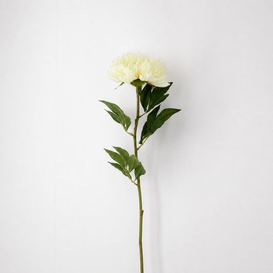 FS195 YE PEONY 28" PK 12