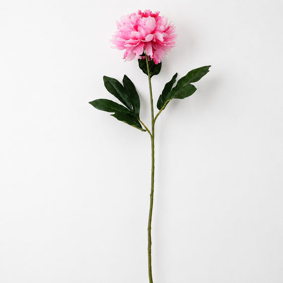 FS196 PI PEONY 31" PK 24