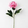 FS196 PI PEONY 31" PK 24