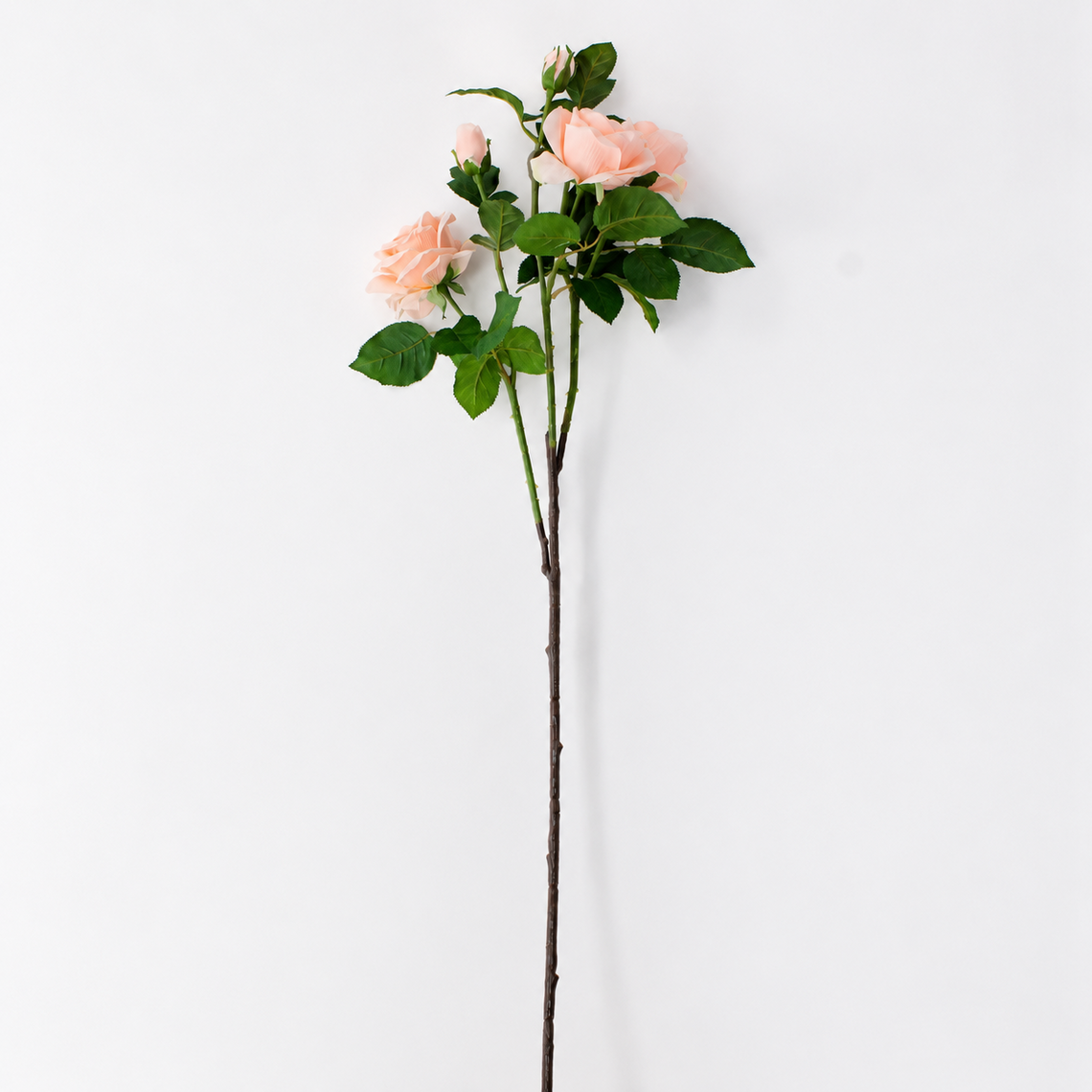 FS198 Rose 38" PK 12
