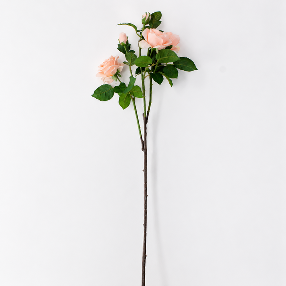 FS198 Rose 38" PK 12