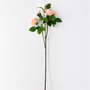 FS198 Rose 38" PK 12