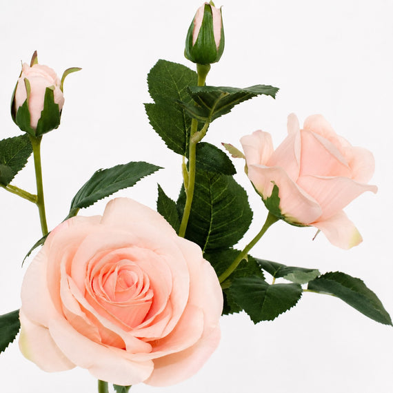 FS198 Rose 38" PK 12