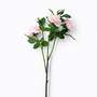 FS198 Rose 38" PK 12