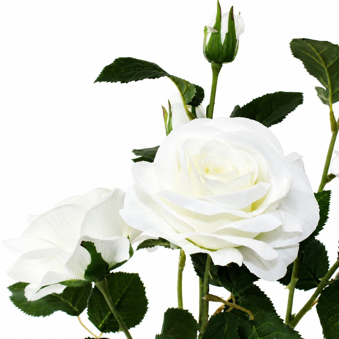 FS198 Rose 38" PK 12