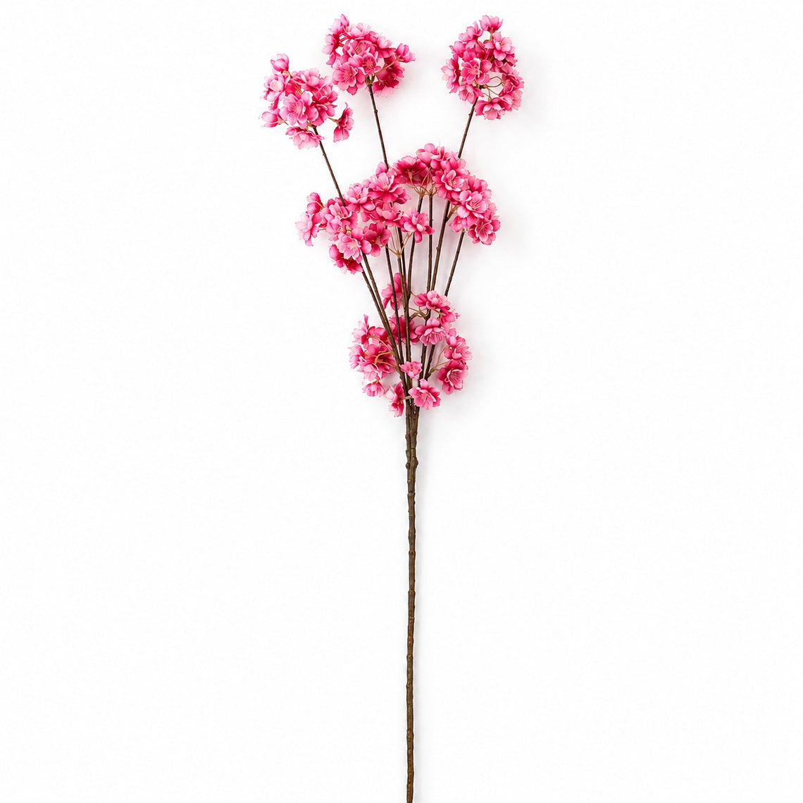 FS199 Cherry Blossom 46" PK 12