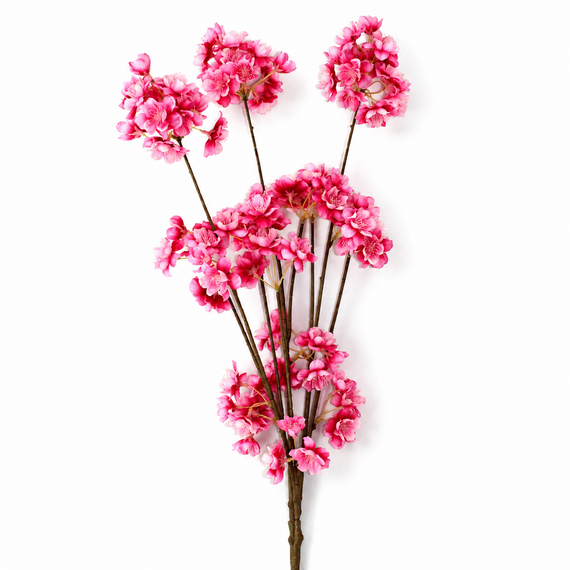 FS199 Cherry Blossom 46" PK 12