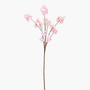 FS199 Cherry Blossom 46" PK 12