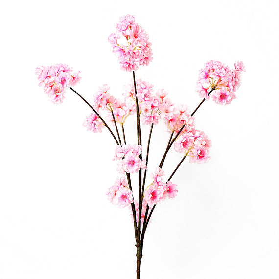 FS199 Cherry Blossom 46" PK 12
