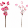 FS199 Cherry Blossom 46" PK 12