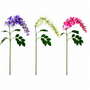 FS202  Wisteria Flower 23" PK 24