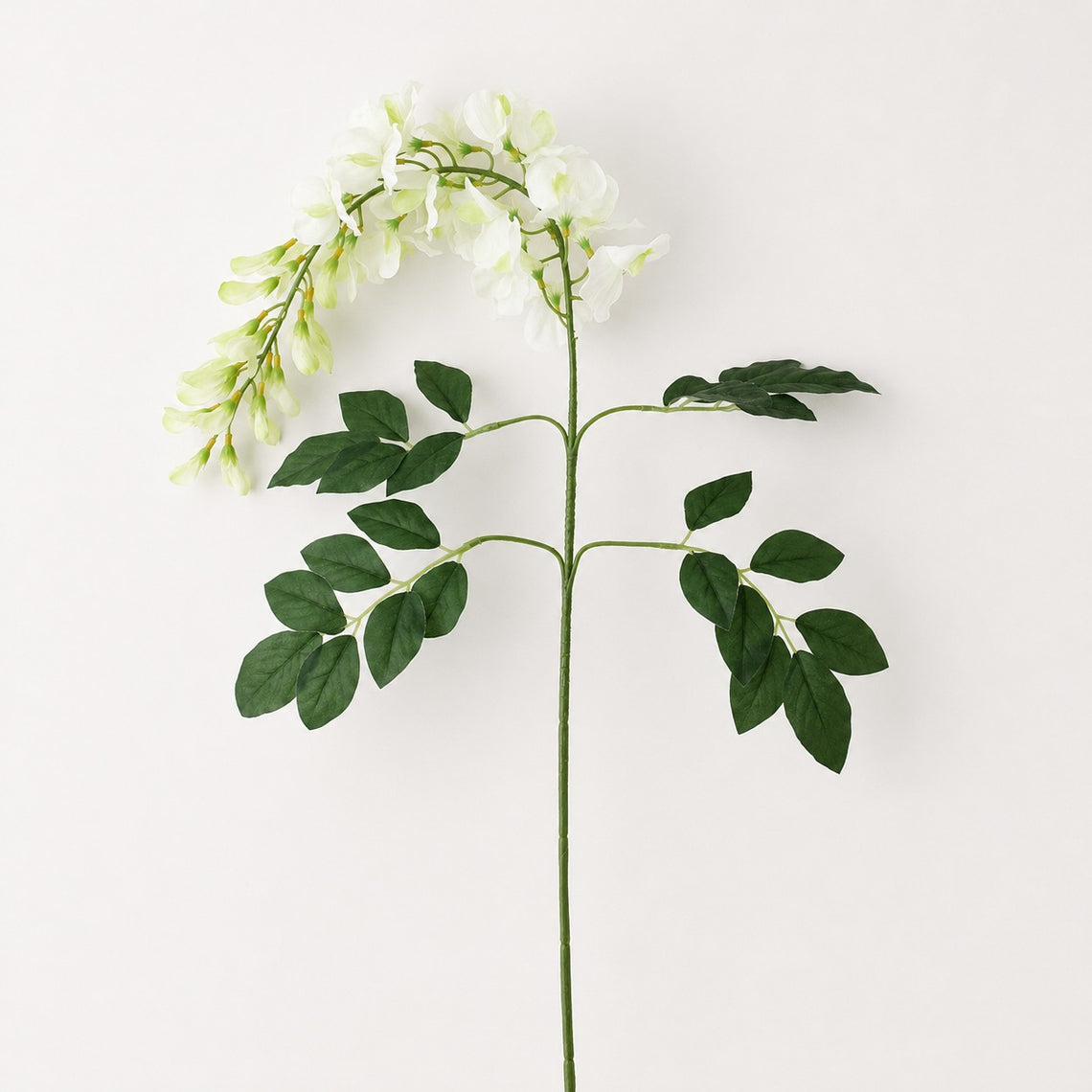 FS202  Wisteria Flower 23" PK 24