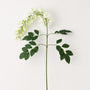FS202  Wisteria Flower 23" PK 24