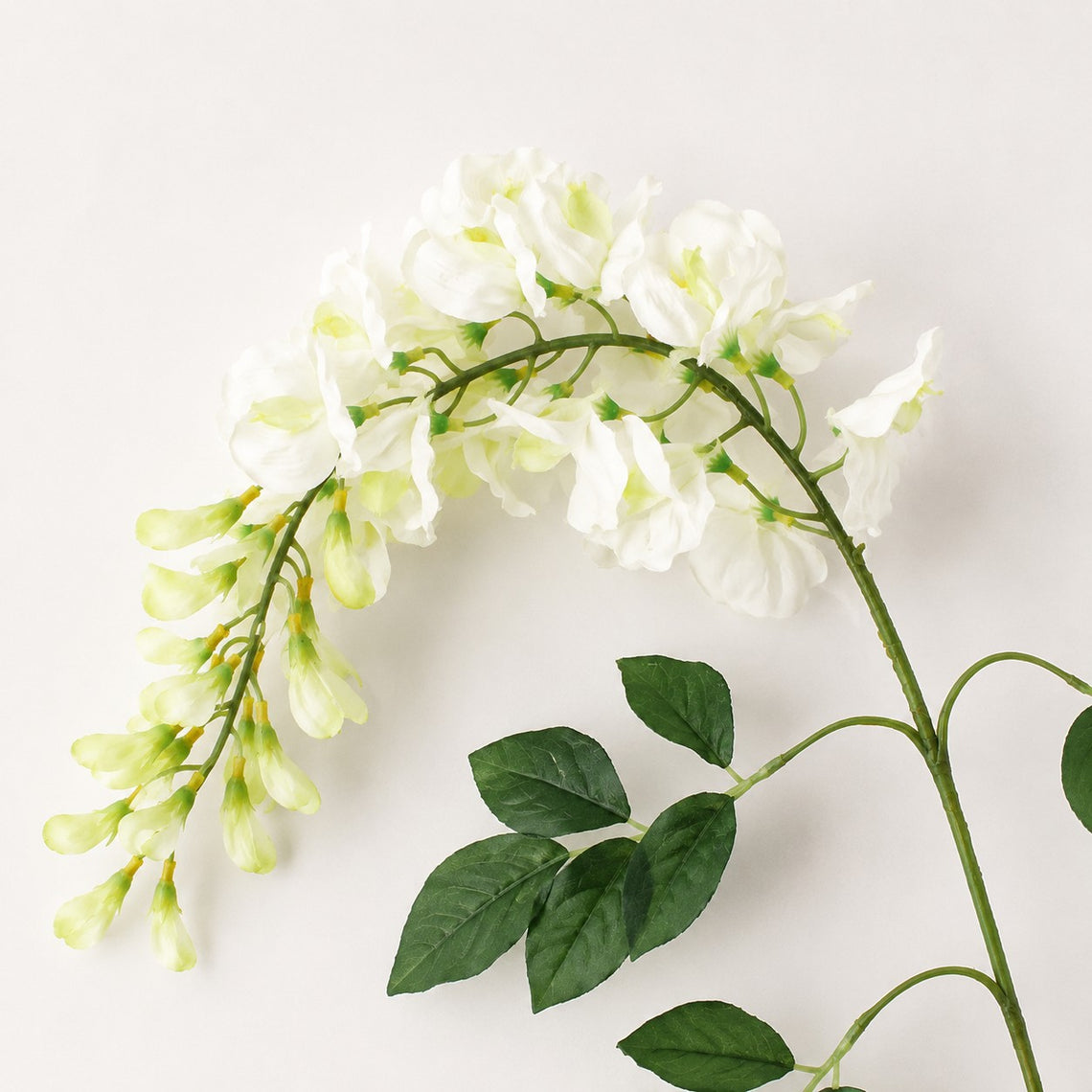 FS202  Wisteria Flower 23" PK 24