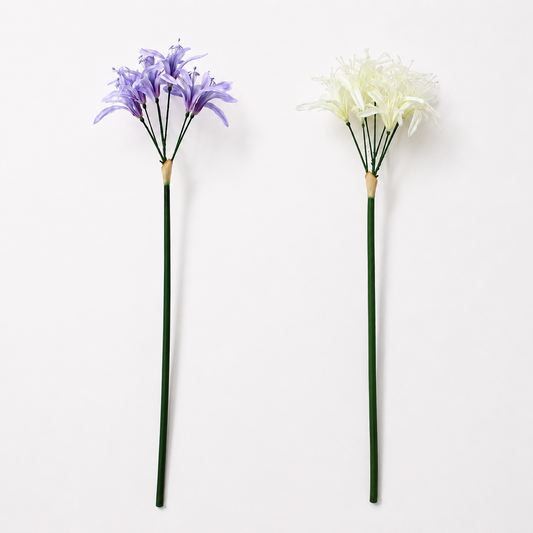 FS203 Lycoris Aurea 29" PK 24