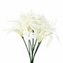 FS203 Lycoris Aurea 29" PK 24