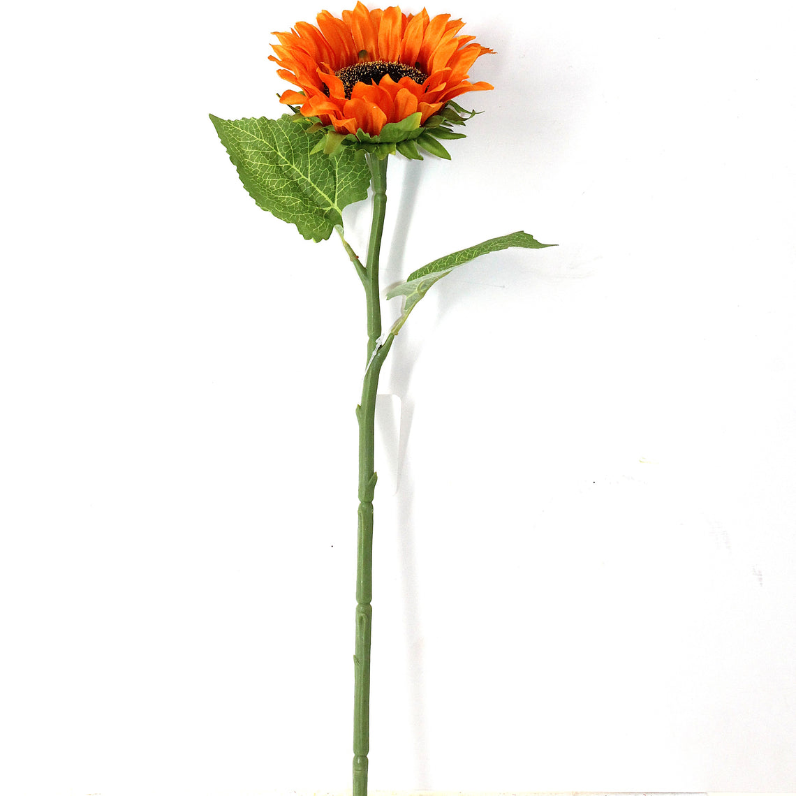 FS205 Sunflower 18" PK 24