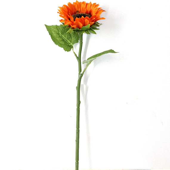 FS205 Sunflower 18" PK 24