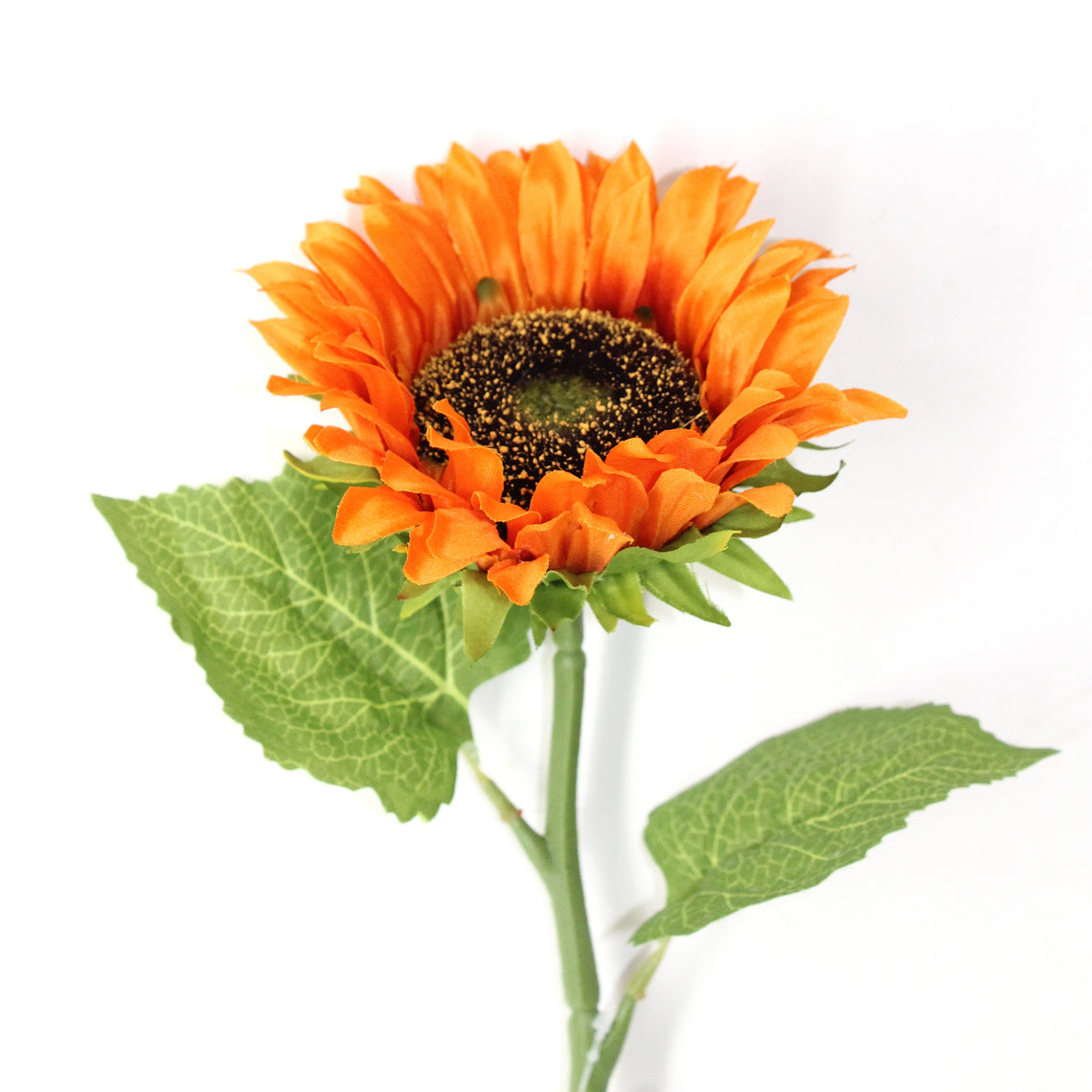 FS205 Sunflower 18" PK 24