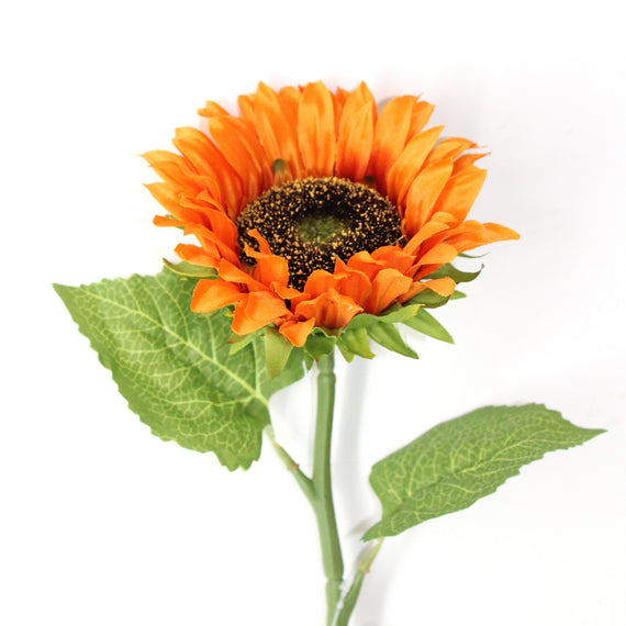 FS205 Sunflower 18" PK 24