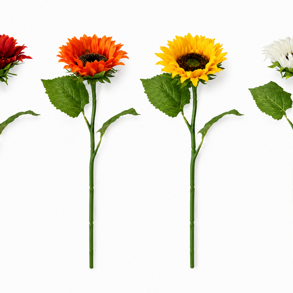 FS205 Sunflower 18" PK 24