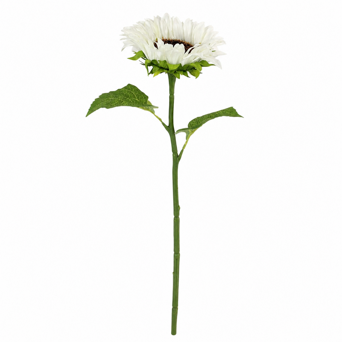 FS205 Sunflower 18" PK 24