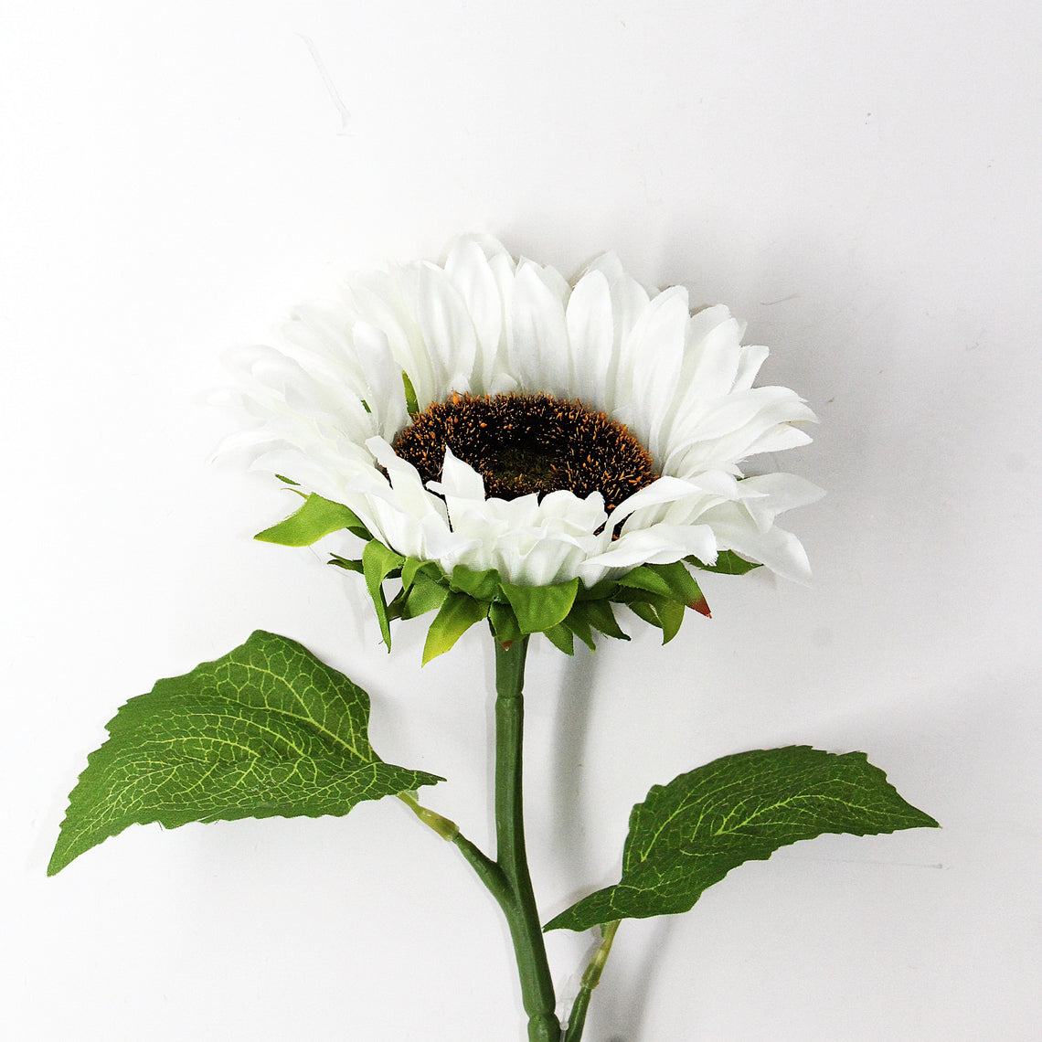 FS205 Sunflower 18" PK 24