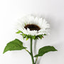 FS205 Sunflower 18" PK 24