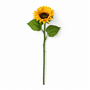 FS205 Sunflower 18" PK 24