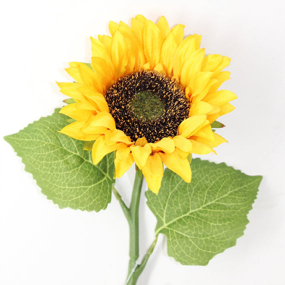 FS205 Sunflower 18" PK 24