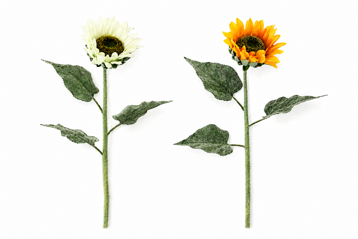 FS206 Sunflower 24" PK 24