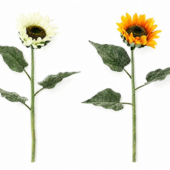 FS206 Sunflower 24" PK 24