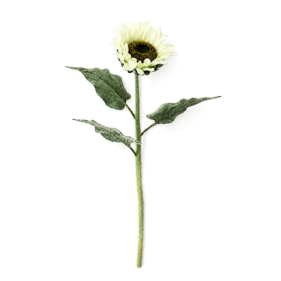 FS206 Sunflower 24" PK 24