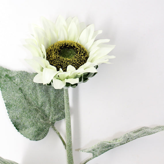 FS206 Sunflower 24" PK 24
